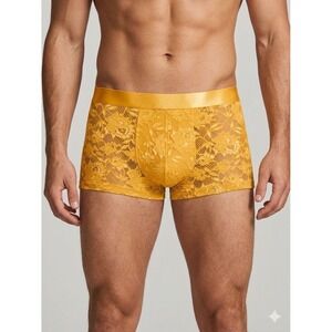 Cosabella Never Say Never Mens Classic Trunk Lace Boxer Briefs Size Large‎  New